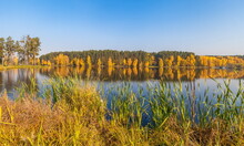 Autumn Landscape With Pines And Yellow Birches And The Surface Of The Pond Water Against The Blue Sky