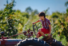 A Boy Sits On An Old Tractor In An Apple Orchard In Golden Light