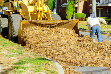 Wall Mural - The municipal service is carrying out autumn works in the fallen autumn leaves with an excavator