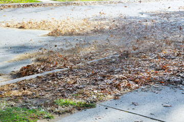 Wall Mural - Outdoor worker clean the fallen leaves on the road by blower in autumn