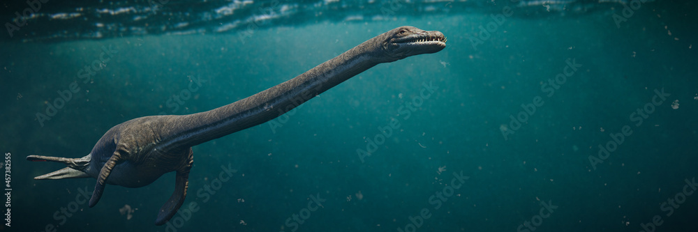 Elasmosaurus, plesiosaur from the Late Cretaceous period, one of the ...