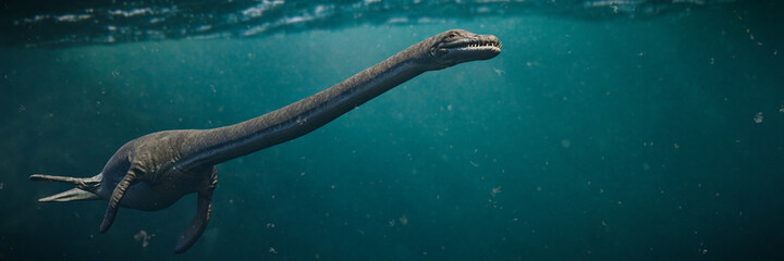 Wall Mural - Elasmosaurus, plesiosaur from the Late Cretaceous period, one of the longest necked animals to have ever lived