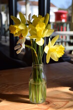 Vase Of Daffodils