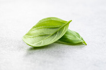 Wall Mural - Fresh green basil leaves.