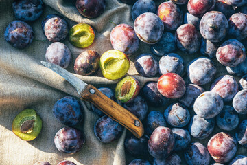 Canvas Print - Harvest summer plums on the table. Cooking jam