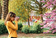 Young Girl Taking Photos Of Pink Tree Flowers In The Park In Spring