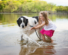 Young Girl Playing In A Lake With A Newfoundland Dog