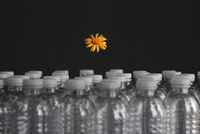 Close-up Of Yellow Flower In Plastic Bottle Against Black Background