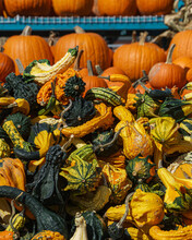 Close-up Of Pumpkins For Sale At Market Stall