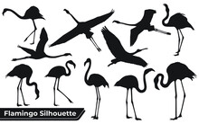 Collection Of Bird Flamingo Silhouettes In Different Positions