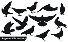 Collection Of Pigeon Silhouettes In Different Positions
