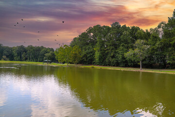 a gorgeous shot of still silky green lake water surrounded by lush green trees with powerful clouds in the sky at Huddleston Pond Park in Peachtree City, Georgia