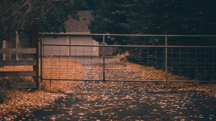 Wall Mural - fence on the road