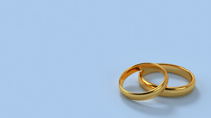 Two wedding gold rings with blank background