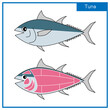 図 可愛いマグロと部位のシンプルなイラスト ベクター
 Figure Simple illustration of cute tuna and its parts Vector