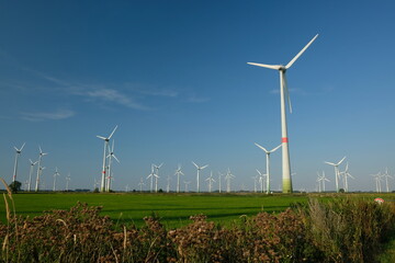 Wall Mural - FU 2020-08-11 Fries T2 1312 Auf der Wiese stehen viele Windräder