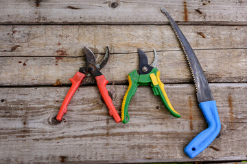 Two gardening secateurs and hand saw on a wooden background. Top view.