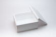 © papii - Empty ice box on a white background