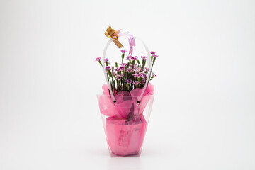 Wall Mural -  Pink and bright red carnation in a vase