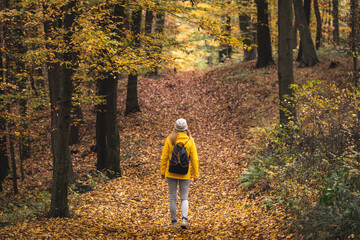 Wall Mural - hike in autumn forest. tourist woman walking in woodland footpath at fall season