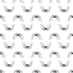 Poster - Long leg spider pattern seamless background texture repeat wallpaper geometric vector