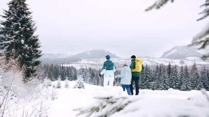 Wall Mural - Rear view of family on walk outdoors in winter nature, Tatra mountains Slovakia.