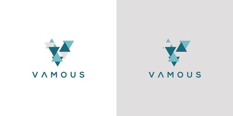 Modern and professional letter V initials logo design