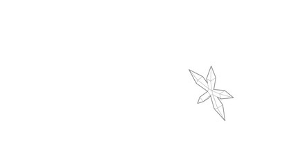 Poster - Pointed star icon animation best outline object on white background