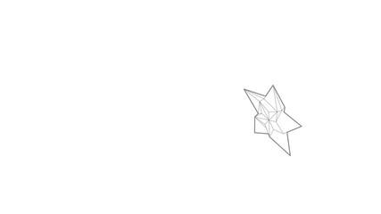 Poster - Star icon animation best outline object on white background