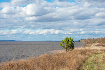 Wall Mural - the summer beautiful volga riverside