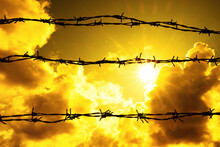 Sun And Silhouette Of Barbed Wire