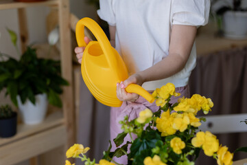 a little blonde girl with a headband on her head and wearing work gloves sprays or waters indoor flowers. Concept of spring time, home gardening, child house-help. Lifestyle, space for text. 