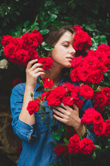 Sticker - young woman near the bush of red roses in a garden