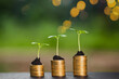A small tree grows on a pile of coins with a rising appearance. including fertile soil on a blurred background nature bokeh business concept and environment
