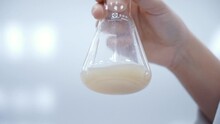 Scientist Shaking Yellow Liquid In Erlenmeyer Flask Extra Close Up Slow Motion