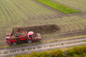 Aufkleber - Combine harvester pours the harvest of sugar beet into a heap on the field. Aerial view	