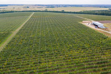 Aufkleber - Aerial view of the farm with apple orchard	