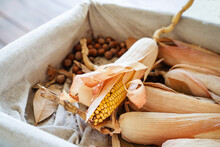 Dried Ears Of Corn Lie In A Wooden Box Lined With Burlap. Close-up. Selective Focus