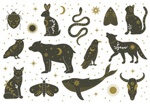 Witchcraft Magic Mystical Boho Doodle Animals And Insects. Magical Cat, Fox, Wolf, Owl, Whale Decorated With Moon, Stars, Leaves Vector Illustration Set. Boho Magical Animals