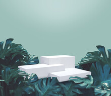 White Square Podium Put Is On Fresh Green Leaves Of Monstera Philodendron Background Montage Photo