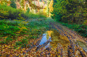 Canvas Print - Dirt road in the autumn forest