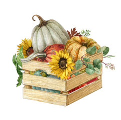 Watercolor Pumpkin and flower composition in wooden box,Thanksgiving decor,Fall harvest,vegetables, Country Farmhouse garden, Autumn wedding illustration with pumpkin,red apples  and sunflower