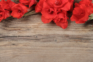 Wall Mural - Red gladiolus flowers on a wooden background, copy space.