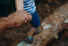 Close-up: The Father Holds The Hand Of His Son, Walking On The Logs In The Forest.