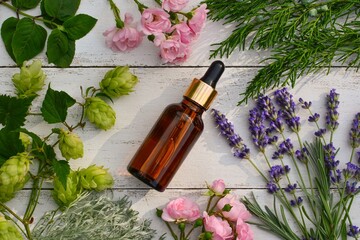 Wall Mural - Aromatic essential oil in a bottle with different fresh plants and flowers on a white  wooden background.