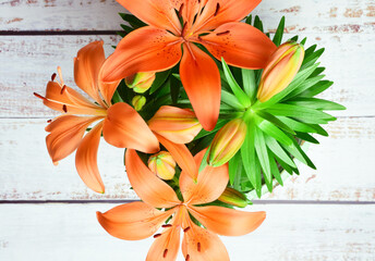 Zenith view. Natural lilies, orange colorful flower, white rustic wood plank base.