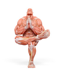 Wall Mural - bodybuilder muscle maps is doing a namaste yoga pose in white background