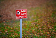 No Dogs Allowed Sign, Prohibiting Sign, Dont Walk With Dog On Green Lawn. Dog Walking Prohibited. Inscription On Sign On Russian - Walking Dogs Is Forbidden. A Sign Prohibiting Walking With Dogs