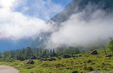 Poster - Königssee, Bayern, im Nebel