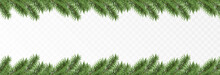 Vector Fir Branches. Spruce Branches Png, Pine, Spruce. Christmas Decorations, Christmas Background.